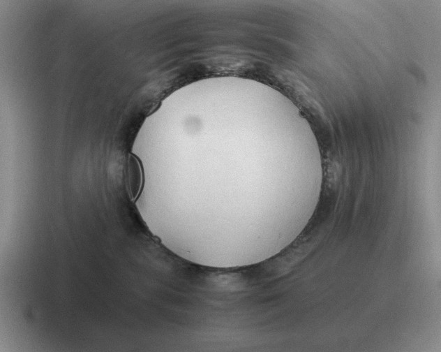 X0000116680283201001041155