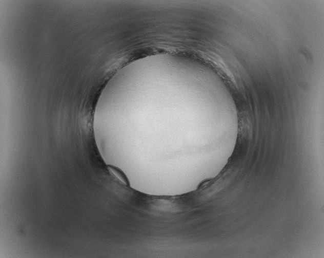 X0000116680285201001041155