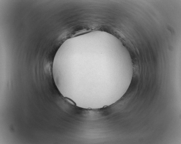 X0000116680286201001041155