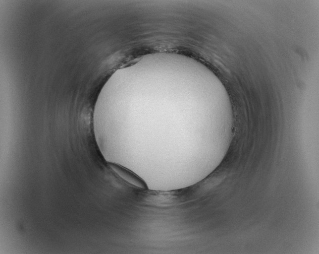 X0000116680288201001041155