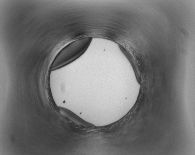 X0000116680289201001041154