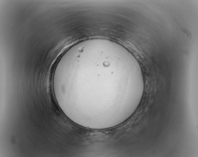 X0000116680290201001041154