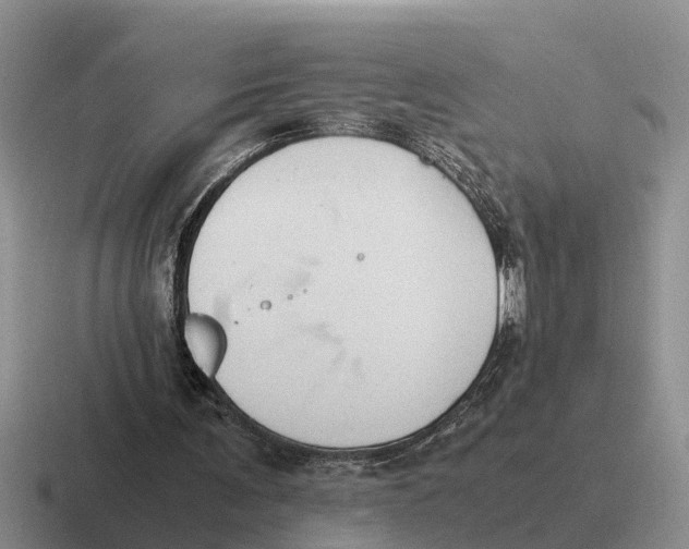 X0000116680291201001041154