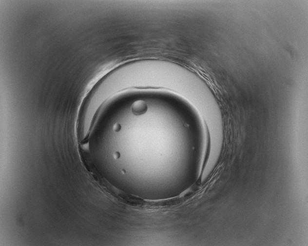 X0000116680292201001041154