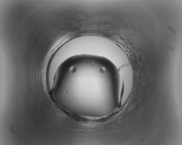 X0000116680293201001041154