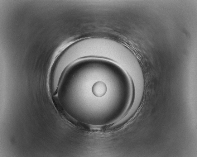 X0000116680294201001041154