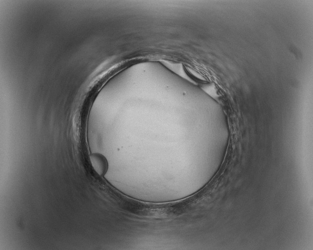 X0000116680295201001041154