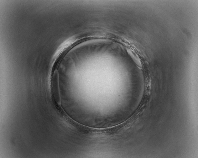 X0000116680296201001041154