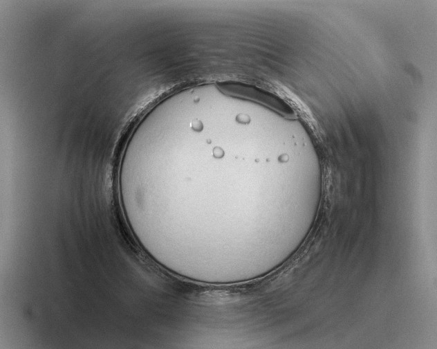 X0000116680298201001041154