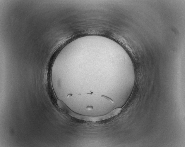 X0000116680299201001041154