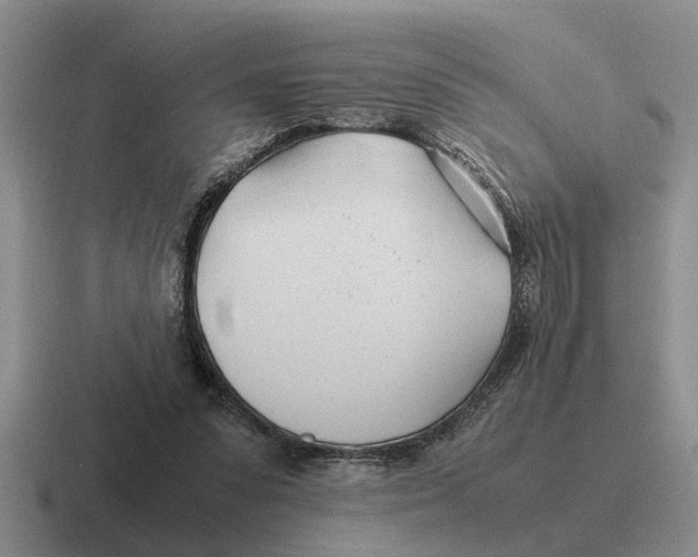 X0000116680303201001041154