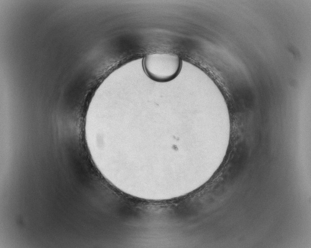 X0000116680305201001041154