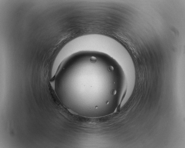 X0000116680308201001041154