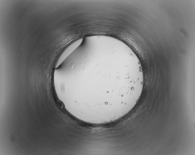 X0000116680309201001041154