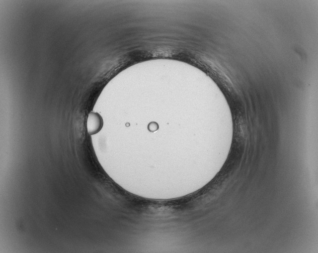 X0000116680311201001041154