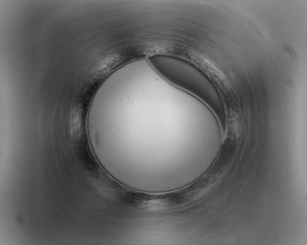 X0000116680312201001041154