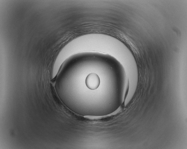 X0000116680313201001041154