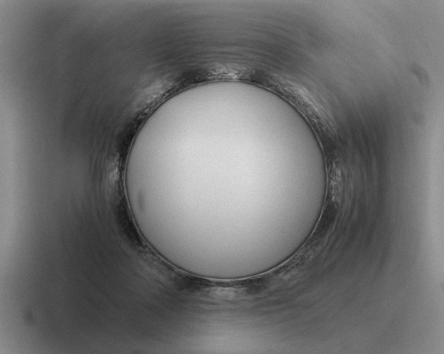 X0000116680314201001041154