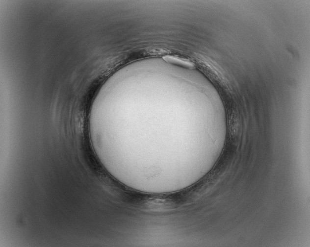 X0000116680315201001041154