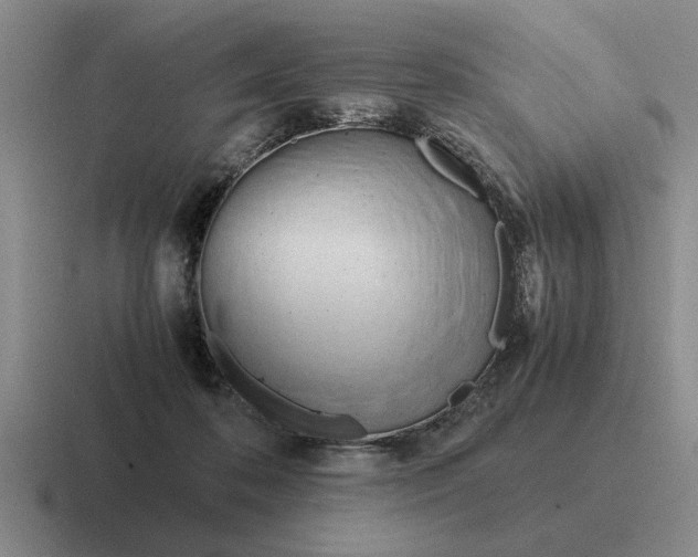 X0000116680316201001041154