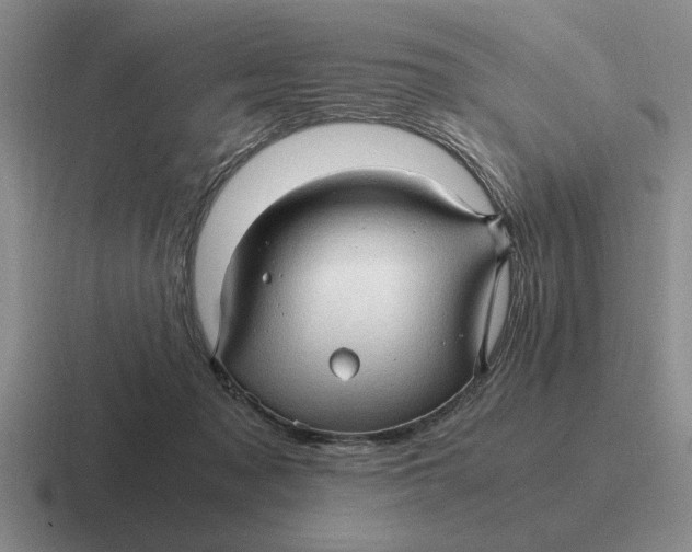 X0000116680317201001041154