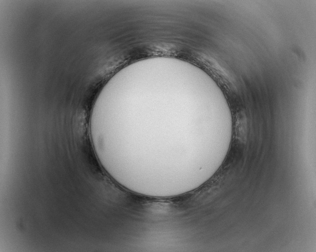 X0000116680318201001041154