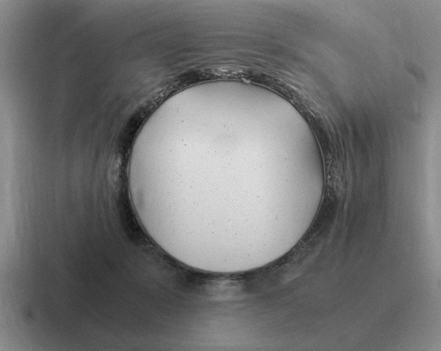 X0000116680319201001041154