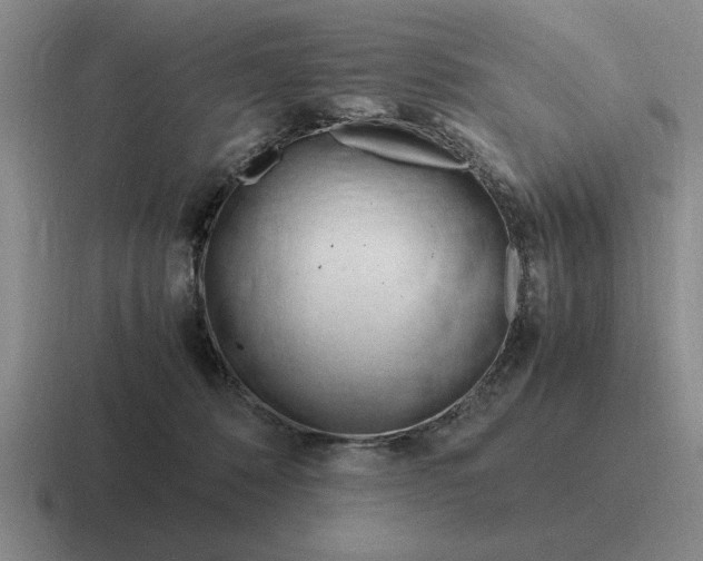 X0000116680320201001041154