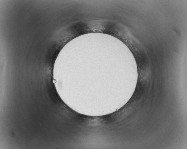 X0000116680321201001041154