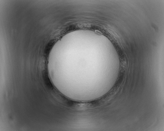 X0000116680323201001041154