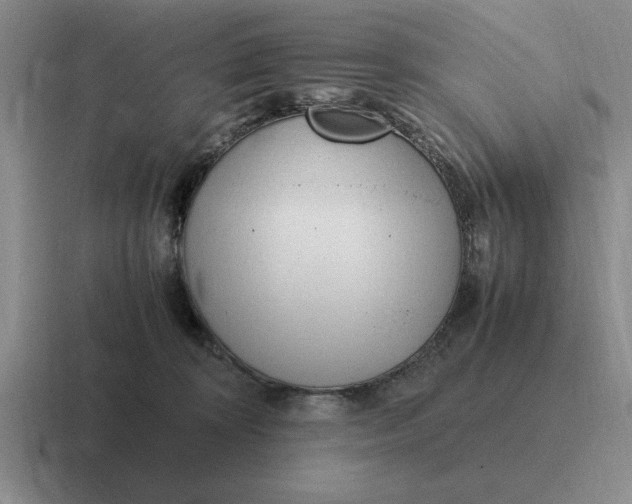 X0000116680324201001041154