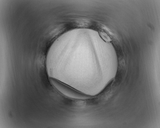 X0000116680325201001041154