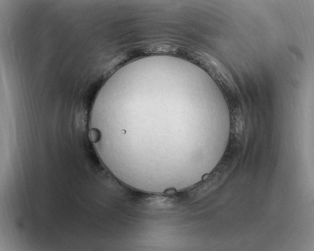 X0000116680326201001041154