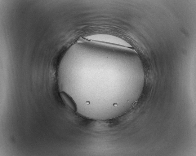 X0000116680327201001041154