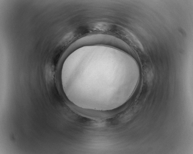 X0000116680328201001041153