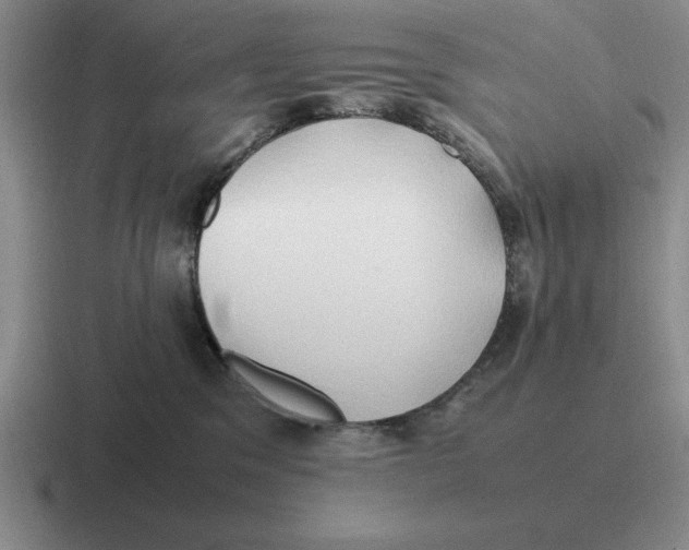 X0000116680329201001041153