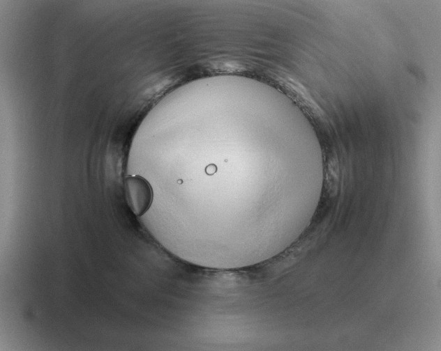 X0000116680330201001041153