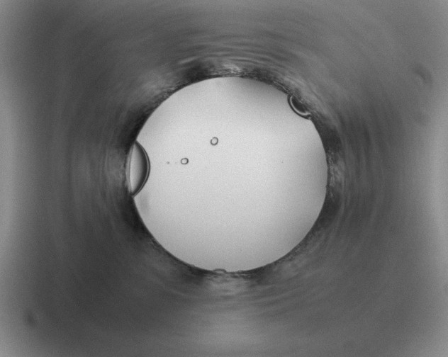 X0000116680331201001041153