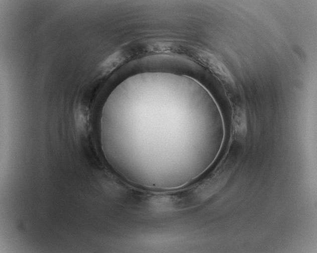 X0000116680332201001041153