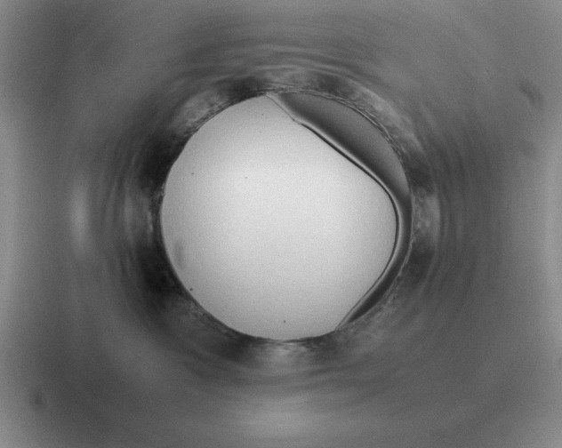 X0000116680333201001041153