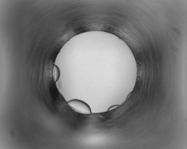 X0000116680334201001041153