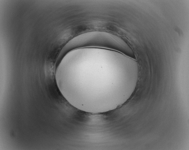 X0000116680336201001041153