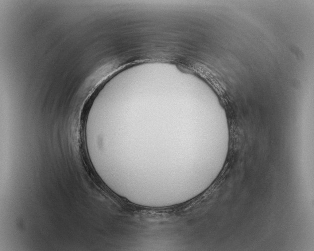 X0000116680338201001041153