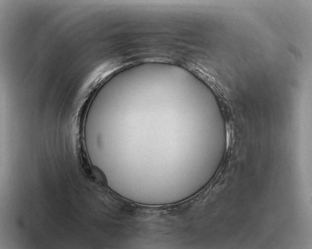 X0000116680339201001041153