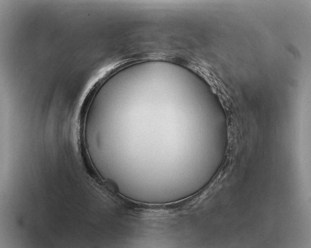 X0000116680342201001041153