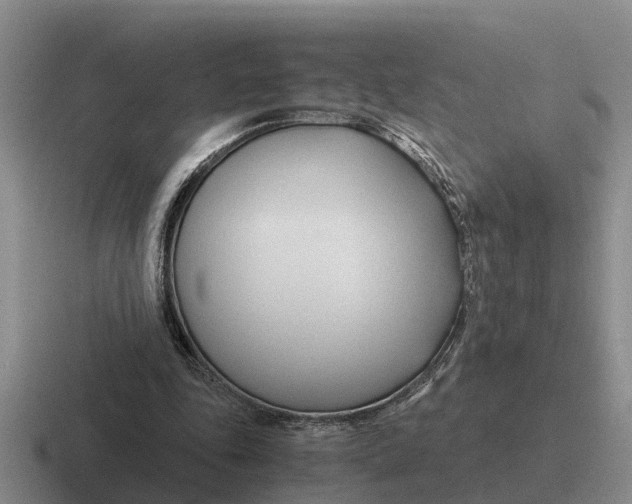 X0000116680343201001041153