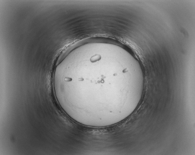 X0000116680345201001041153