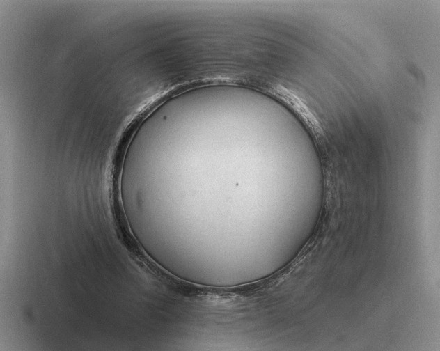 X0000116680346201001041153