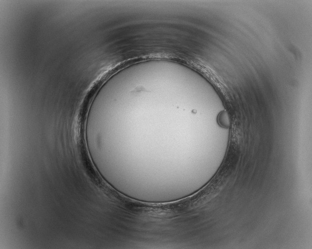 X0000116680347201001041153