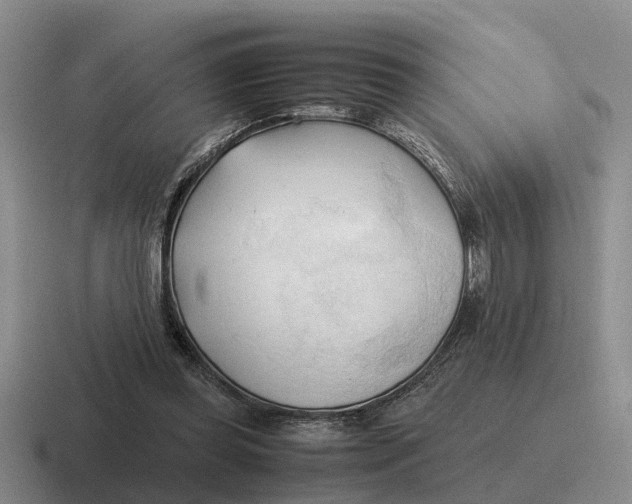 X0000116680349201001041153